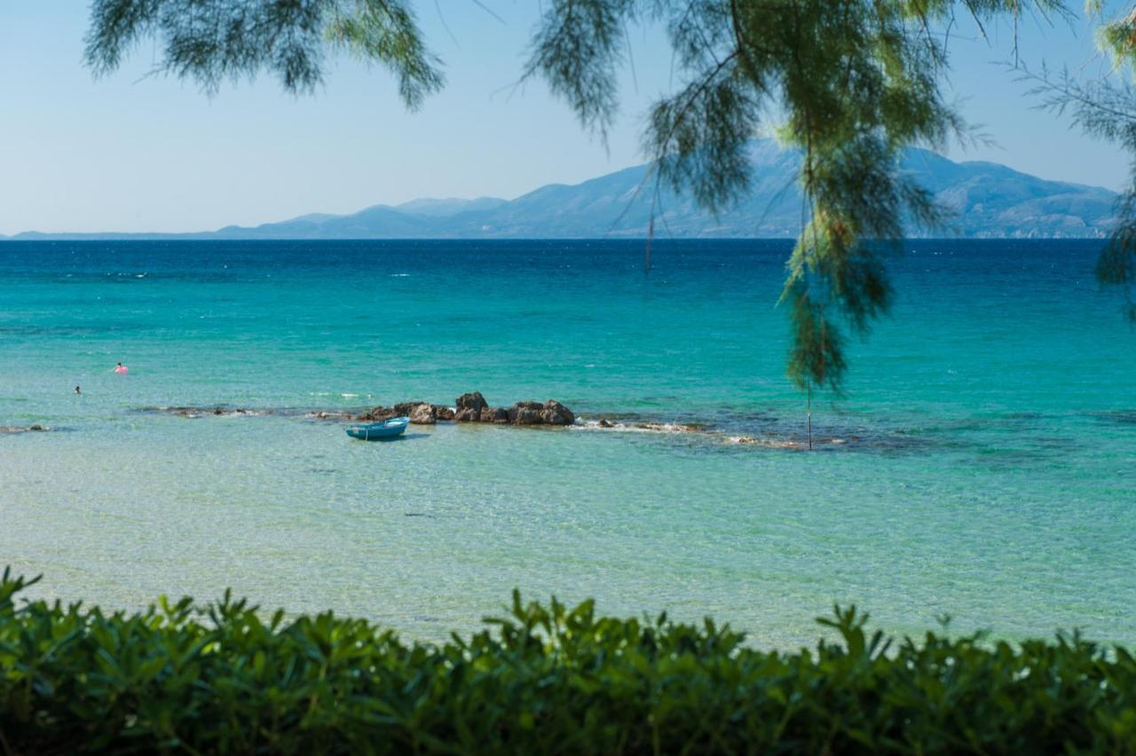 Apartment Gaia House Alykanas (Zakynthos)